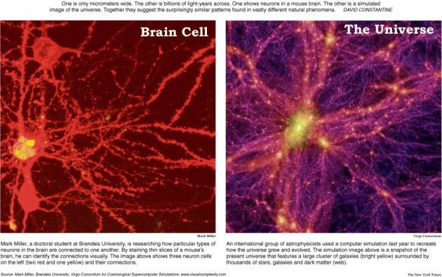 Científico investiga la posibilidad de que las estrellas sean seres conscientes Neuron-galaxy